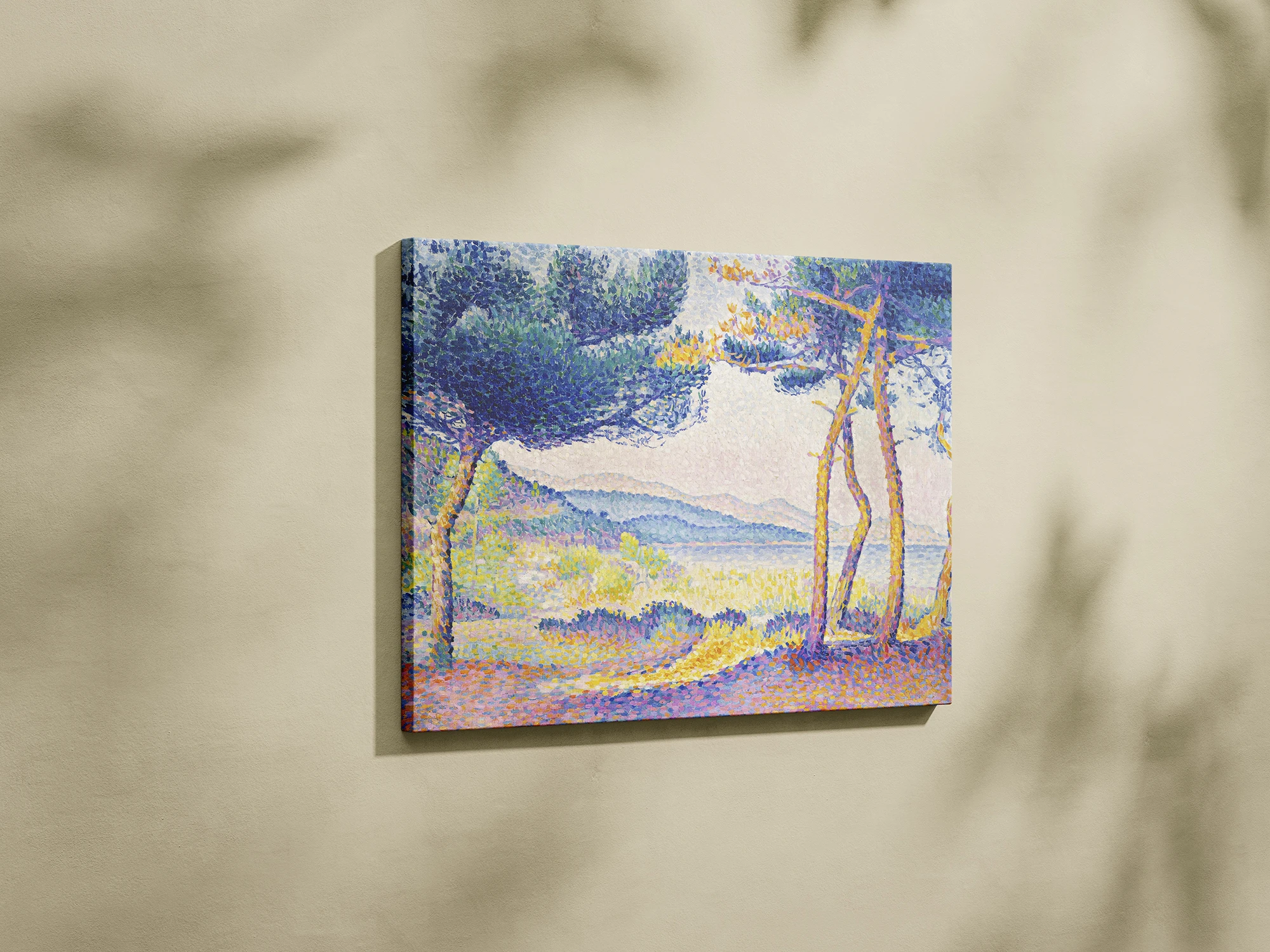 Պոլ Սինյակ — Սոճի